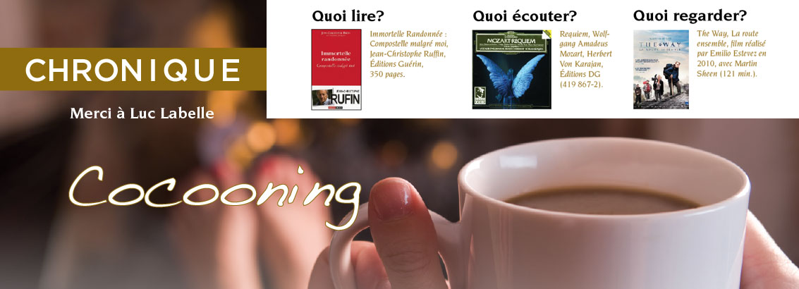 découvrez l'art du cocooning avec notre cheminée chaleureuse. transformez votre intérieur en un havre de paix et de confort, où chaque soirée devient un moment de convivialité autour d'une flamme réconfortante.