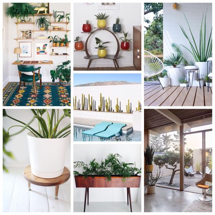 découvrez l'univers des plantes décoratives : ajoutez une touche de verdure à votre intérieur avec des espèces uniques et élégantes. transformez votre espace grâce à des conseils sur le choix, l'entretien et les bienfaits des plantes sur votre bien-être.